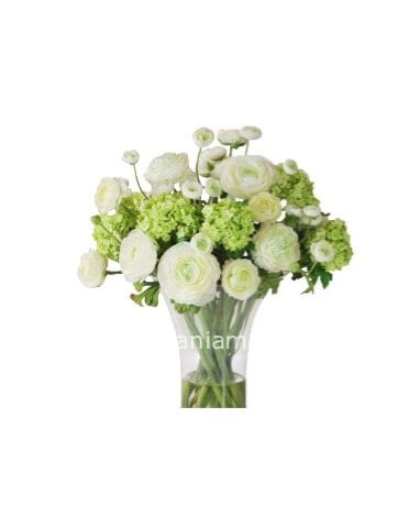 Bouquet con fiori bianchi e verdi