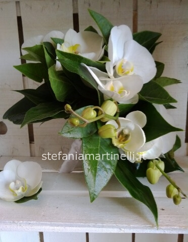 Bouquet da sposa orchidea phalenopsis bianca
