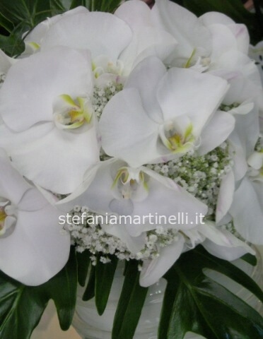 Bouquet phalenopsis bianco