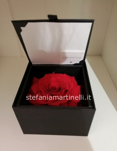Rosa stabilizzata rossa XL