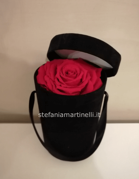 Box in velluto con rosa stabilizzata