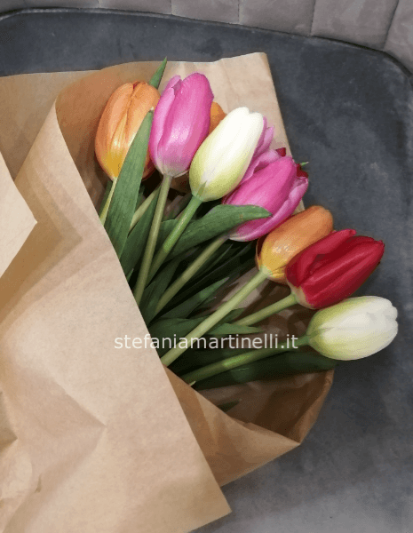 tulipani colori misti